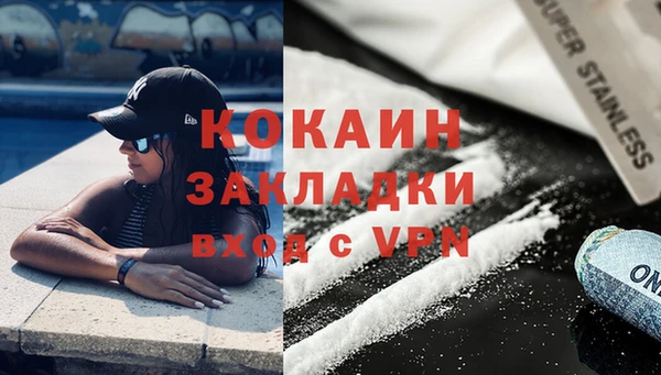 прущие грибы Абаза