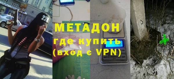 прущие грибы Абаза