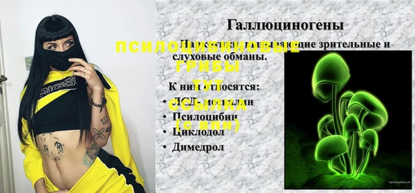 прущие грибы Абаза