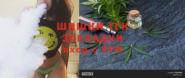 прущие грибы Абаза