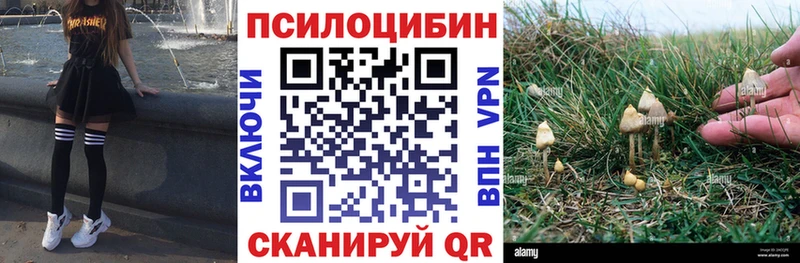 Галлюциногенные грибы Cubensis  закладки  Сарапул 