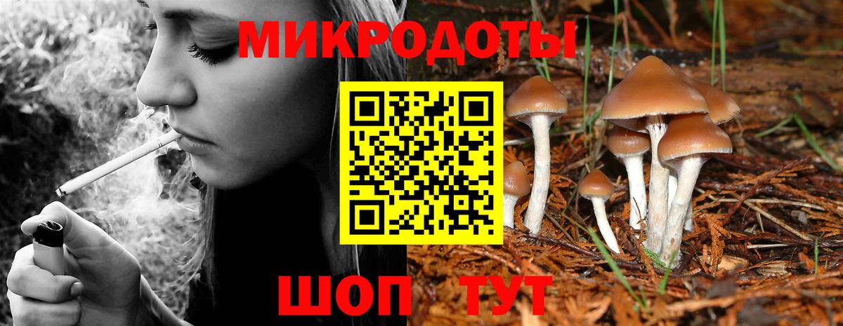 Псилоцибиновые грибы мицелий  Псилоцибиновые грибы MAGIC MUSHROOMS  Сарапул  Вход с VPN 